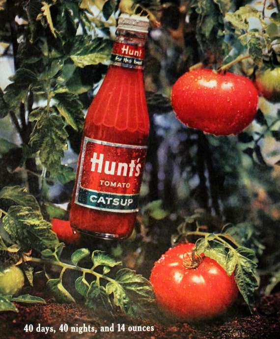 Hunts Tomato Sauce Ad Plant Tomatoes Bottle 1963