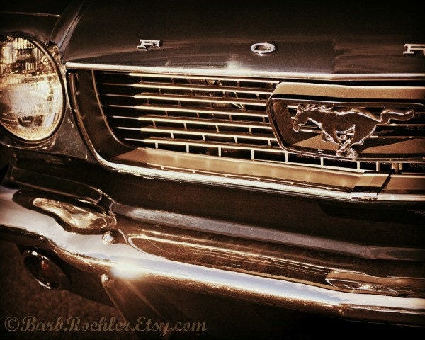 Vintage Mustang Rust