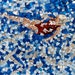 Custom Mosaic Swimming Art, Wall Decor