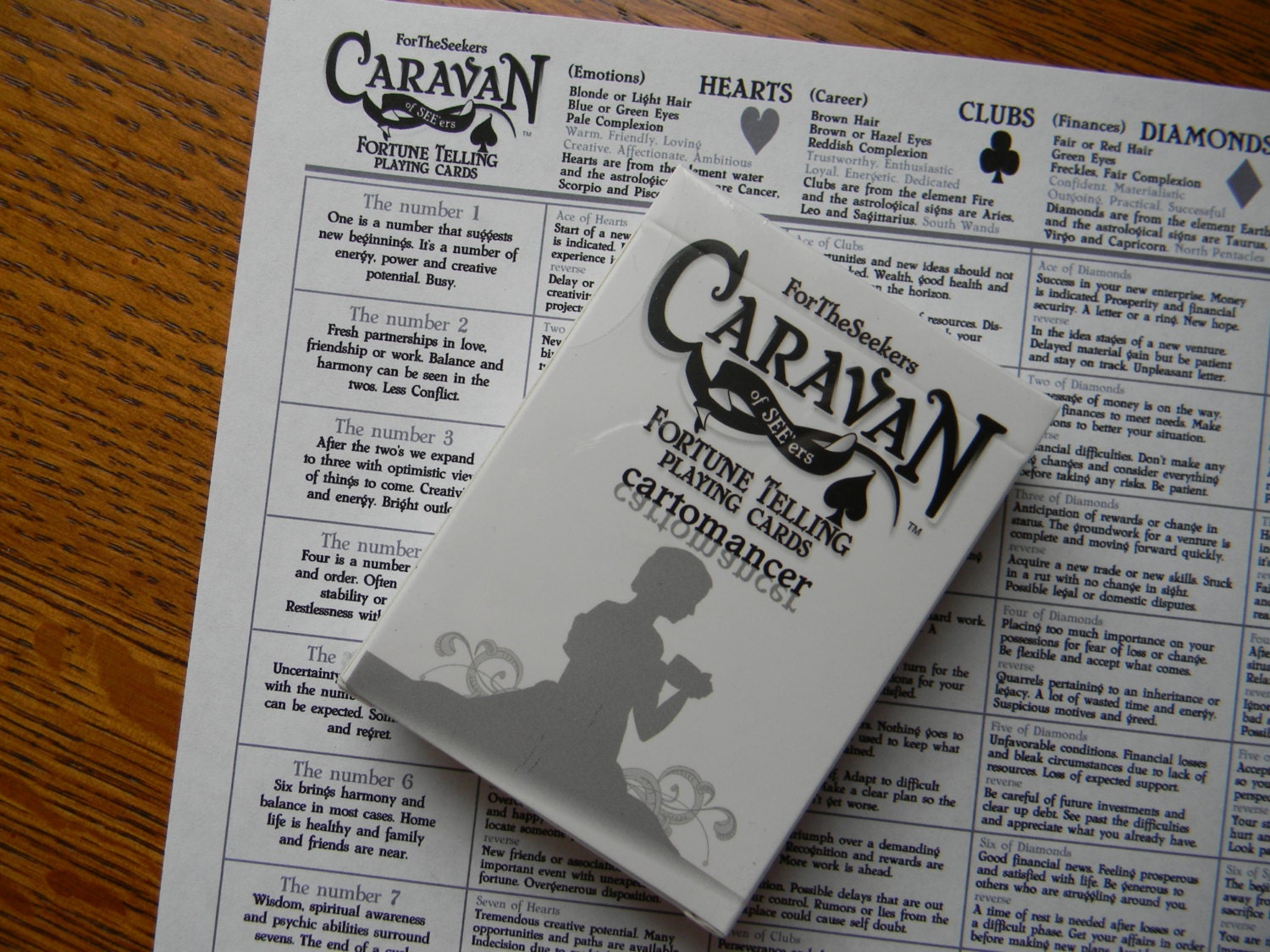 Caravan of SEE'ers Fortune Telling Playing Cards gray