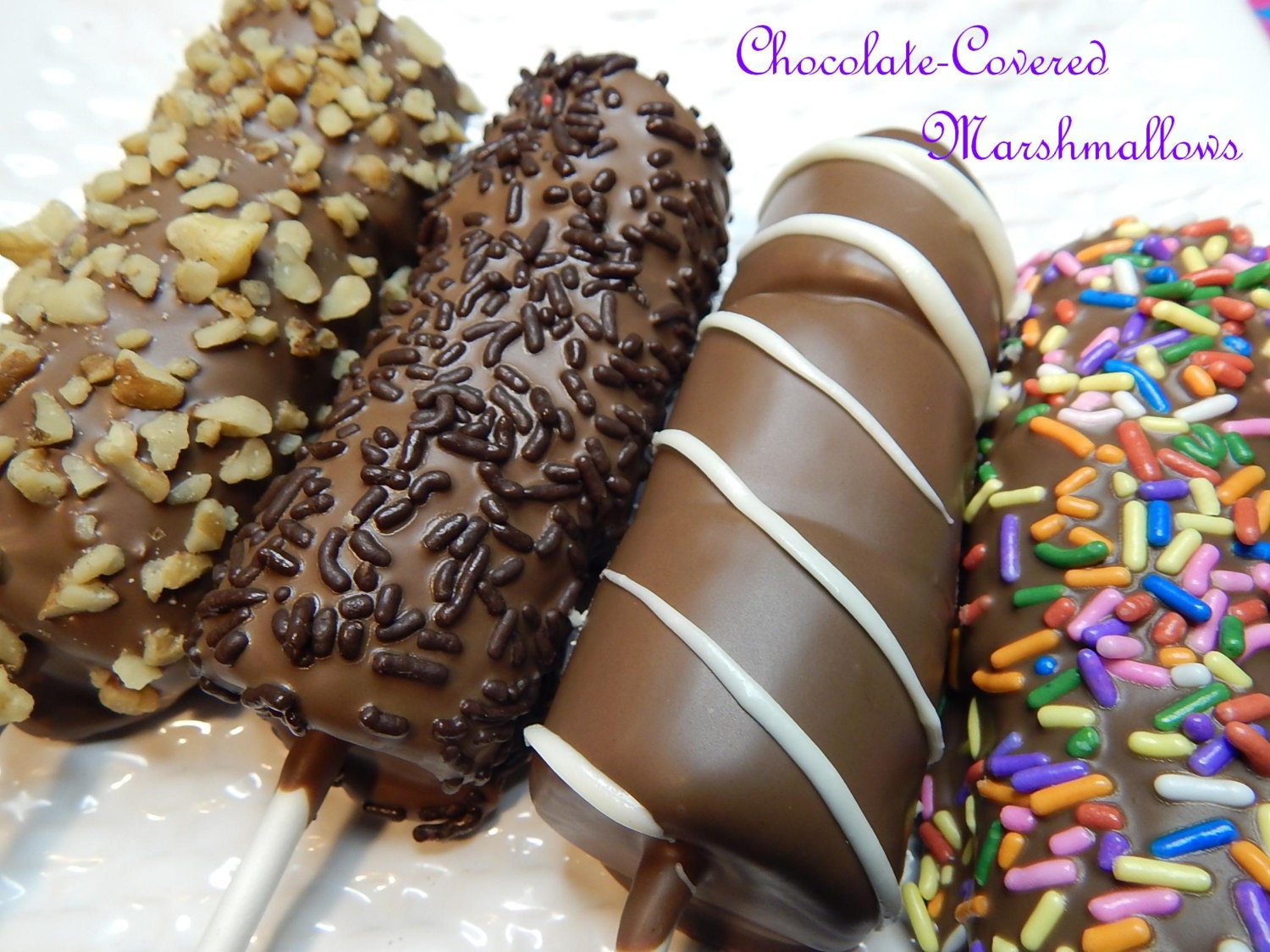 Gourmet Chocolate Covered Marshmallow Pops