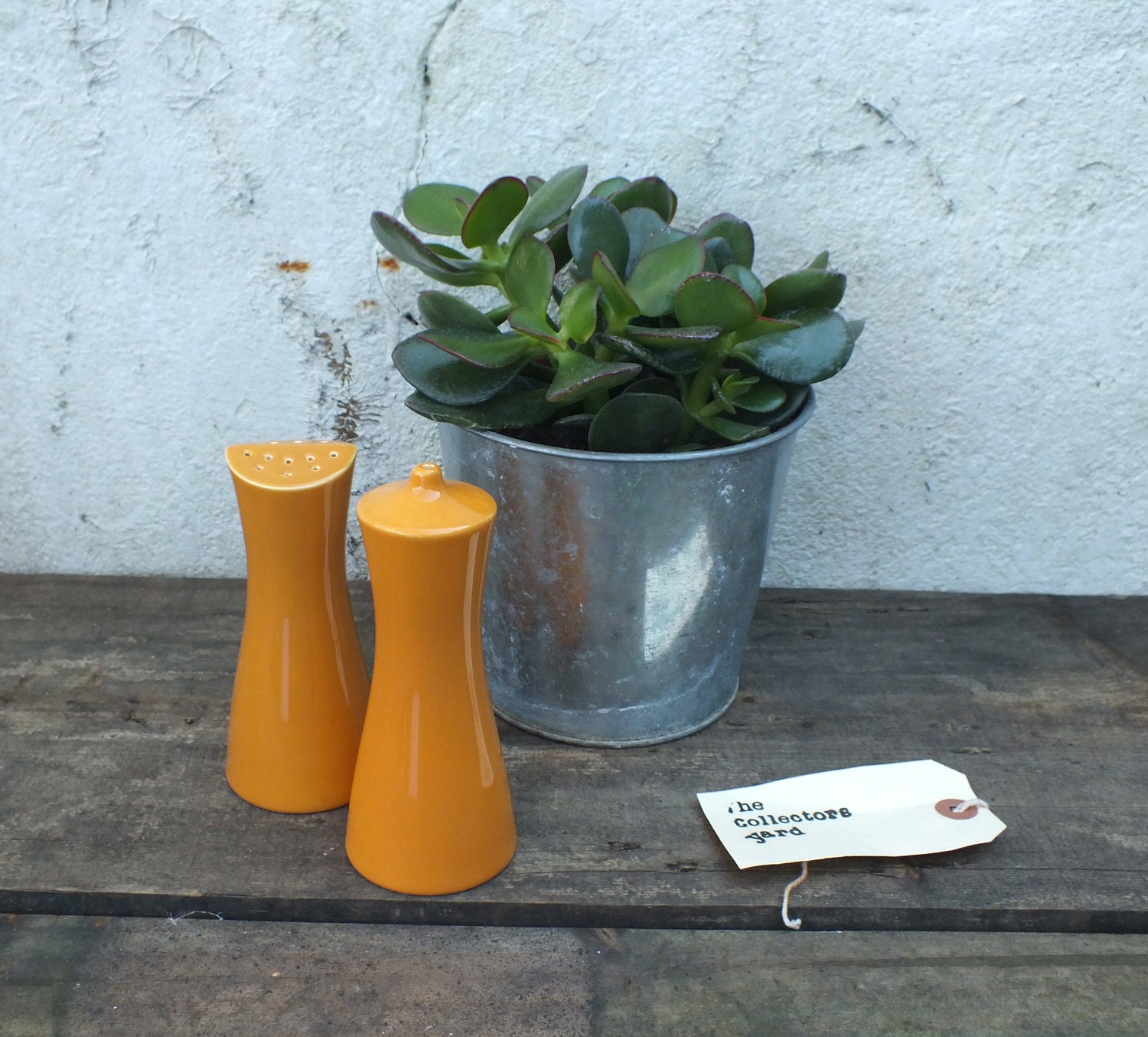 Poole Pottery ceramic salt and pepper shakers c.1950 Haute Juice