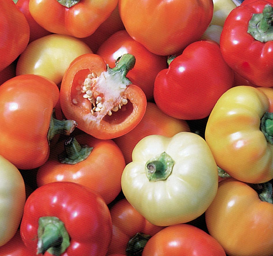 Alma Spice Paprika Peppera kitchen staple that&amp;#39;s