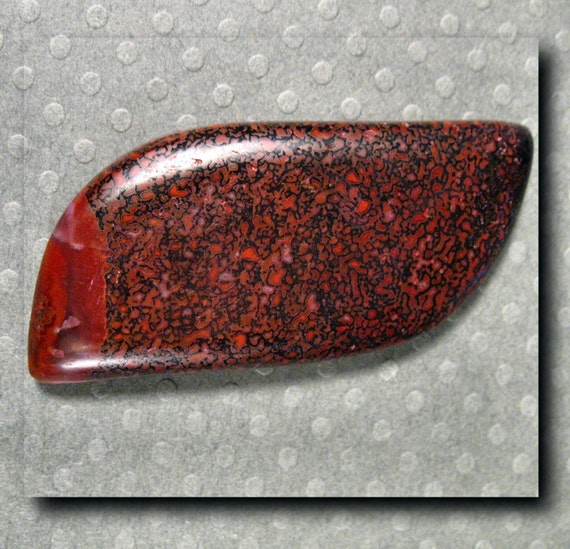 dinosaur gem bone