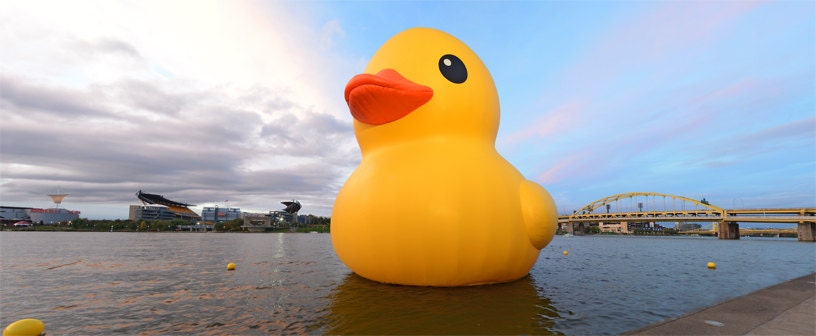 panorama of Giant Yellow Duck by the point Downtown