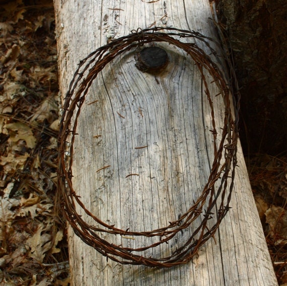Rusty Barbed Wire Crafts