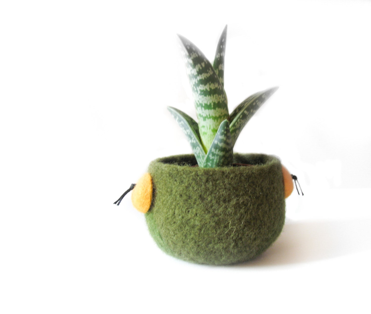 Felt Planter Succulent air Planter Moss green Felted Pod