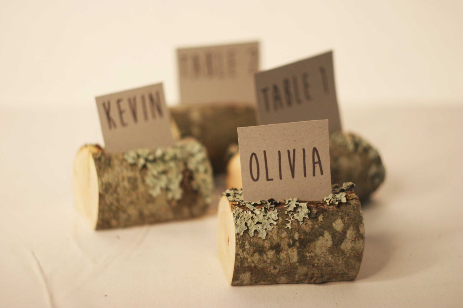 Rustic Place Cards 10