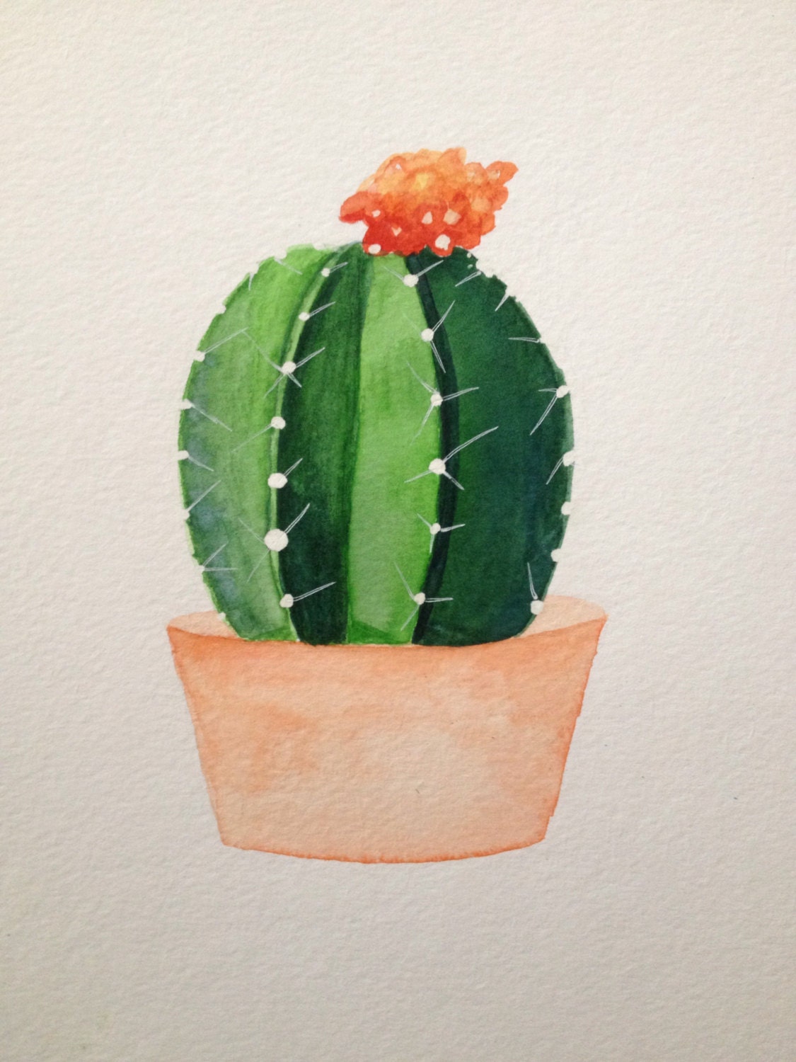 Cacti Succulent  Watercolor  Painting