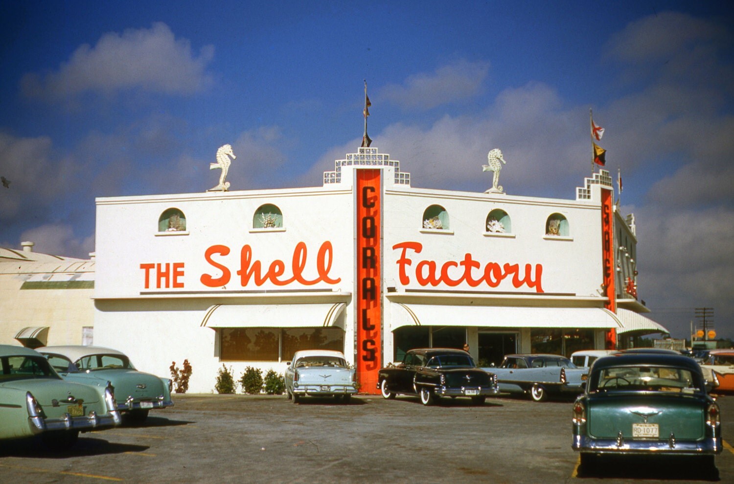 1955 Florida Shell Factory parking lot from 35mm by GOBACKNTIME