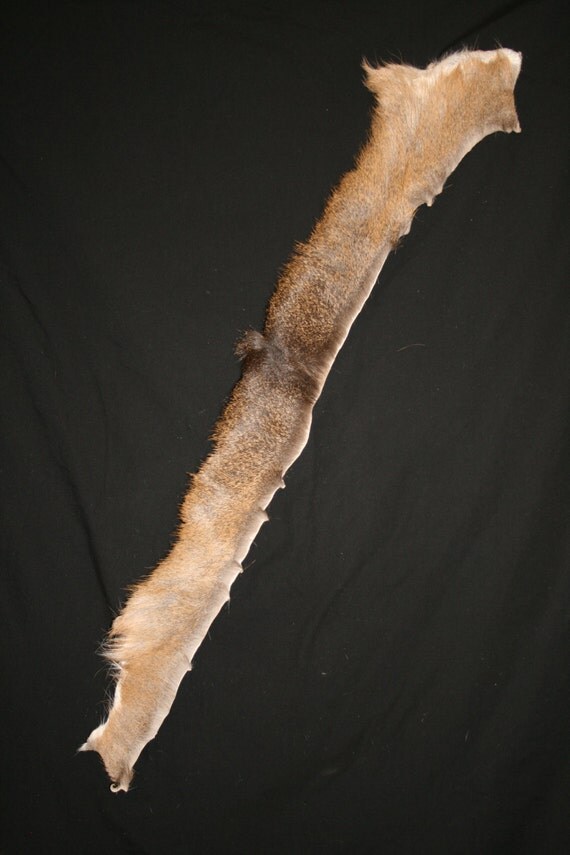 Hair On Whitetail Deer Skin Hide Wet Tanned Leather by DavisFarms