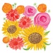 High quality blank greeting card professionally printed from an original design called Sunflower Bouquet by Claire Leggett