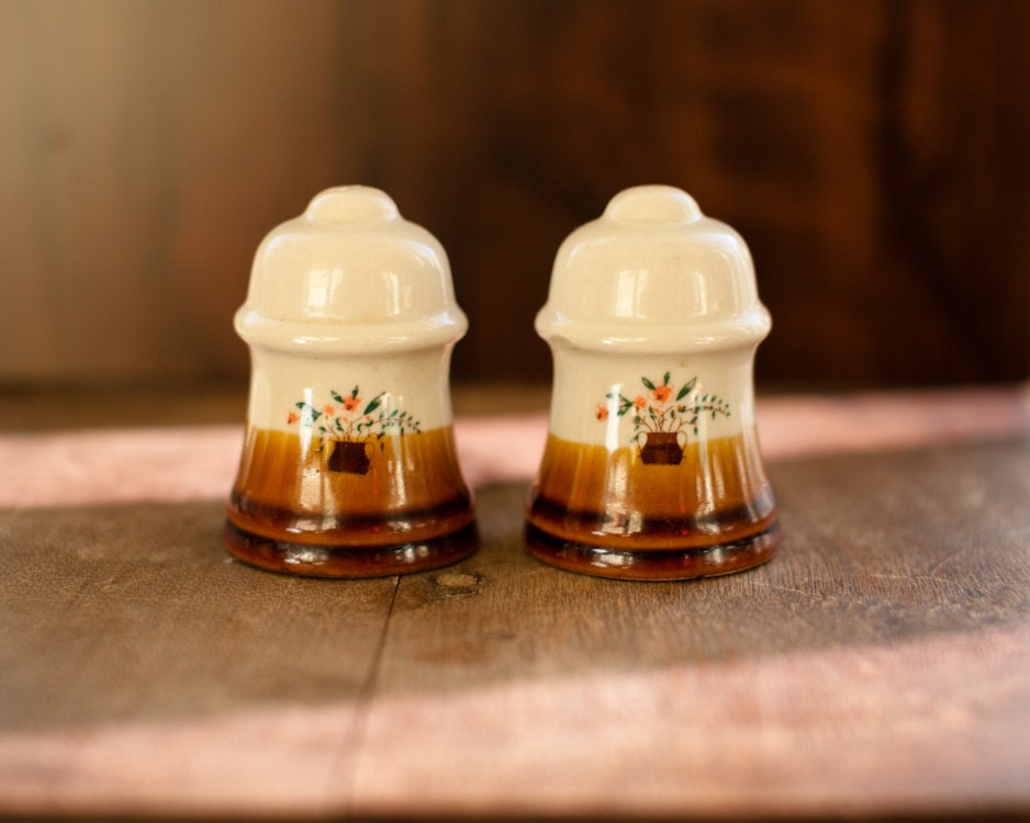 Cute Vintage Salt and Pepper Shaker flower arrangement browns
