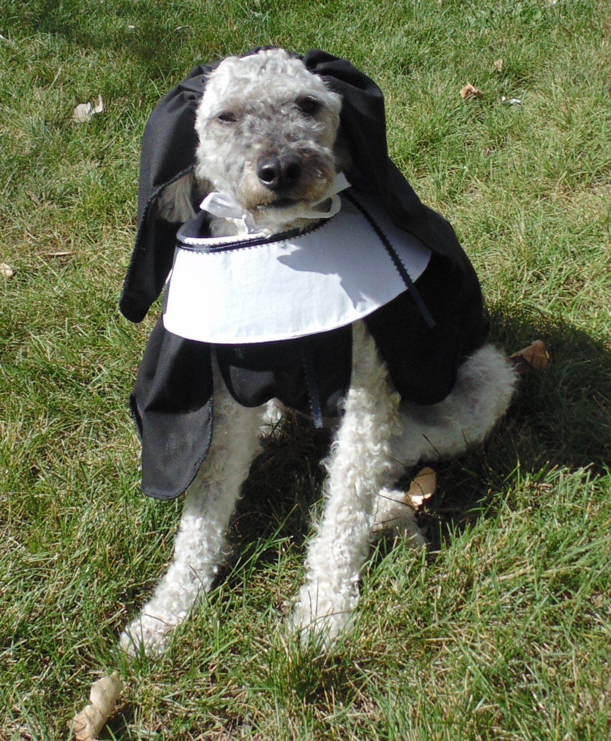 Nun Dog Costume
