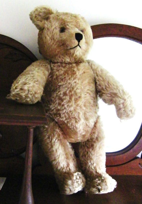 50 cm teddy