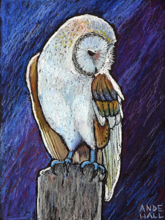 Original Owl Painting in Oil Pastels Barn Owl