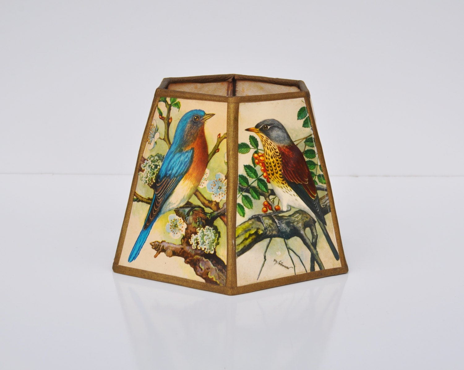 Vintage Lamp Shade Ph Gonner Bird Prints Mid Century Six