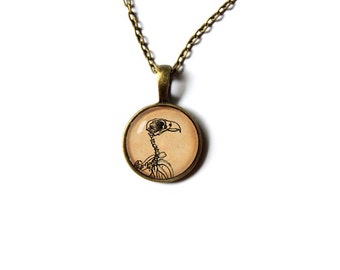 Popular Items For Bird Skeletons On Etsy Popular Items For Bird Skeletons On Etsy
