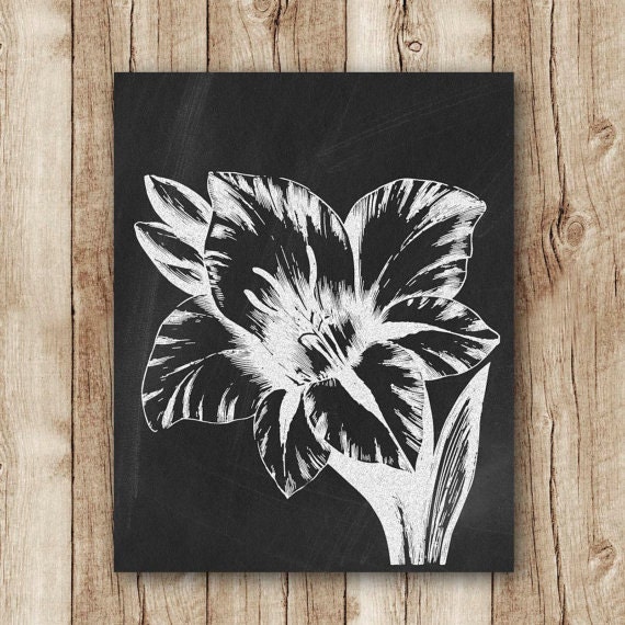 chalkboard flower black and white wall art floral chalkboard