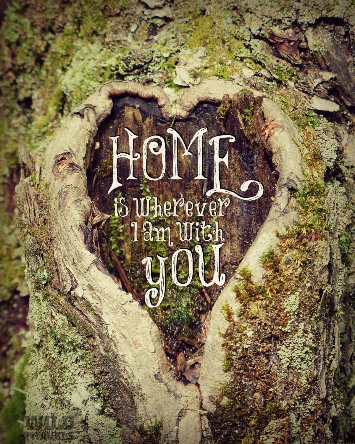 Home Wall Decor Woodsy Word Wall Art Nature Photography