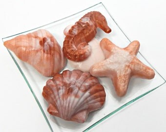 Seashell Soap Set - Five Piece - Choose your Scent