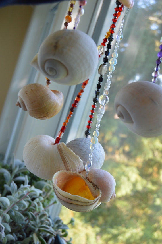 Hanging Shell Planter Choose your color
