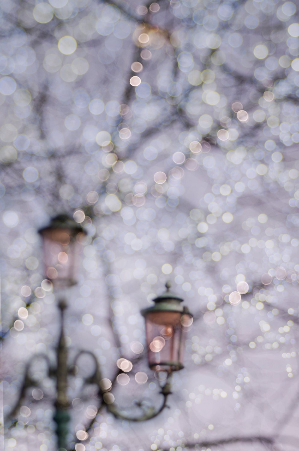  Winter  Photography  Fairy Lights Holiday Lights Fine Art 