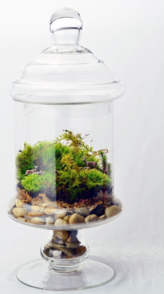 Apothecary Jar Terrarium // Moss // Deer // Home by PinkSerissa
