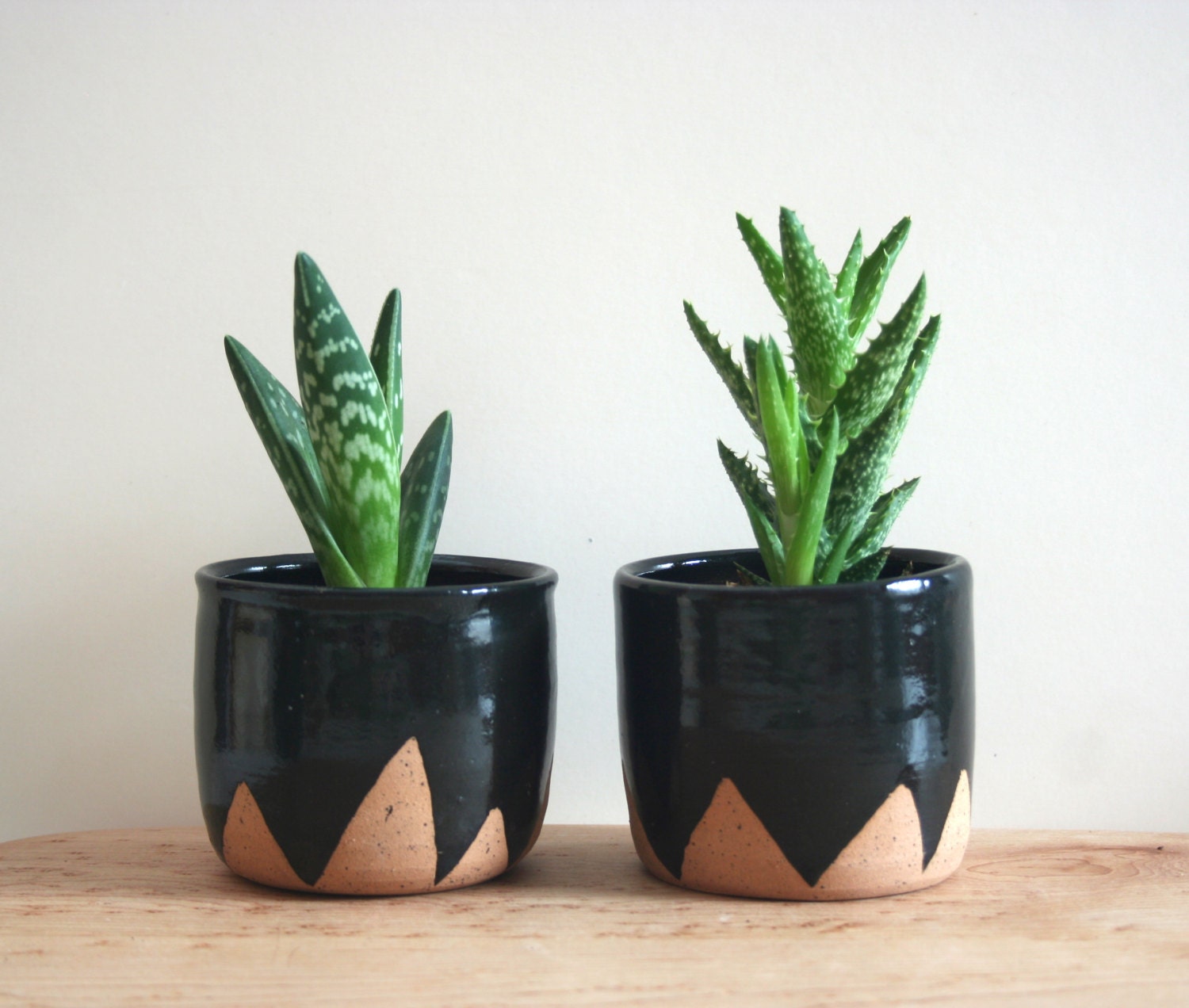 Black Mountain Planters set of two small  speckled 