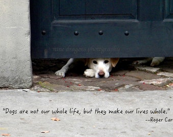 Typographic Art, Inspirational Prints, Motivational Print, Animal Photography, Dog Photograph, Labrador Art, Inspiration Wall Art, Quote Art