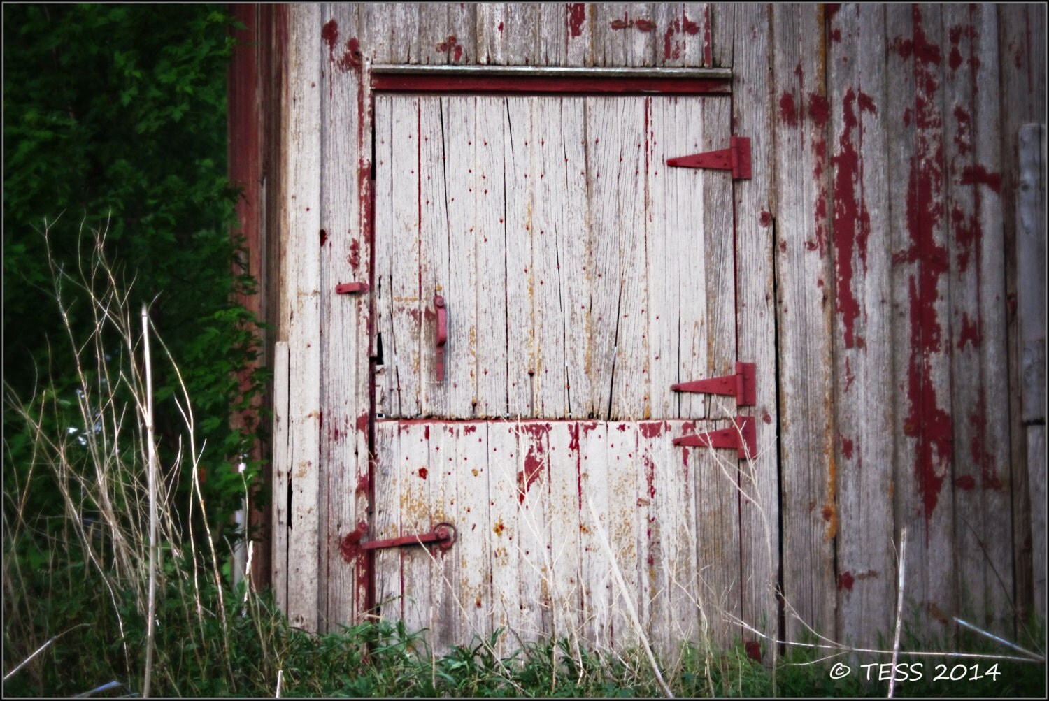 Old Barn Door Photography Print Old Barn Photography Iowa