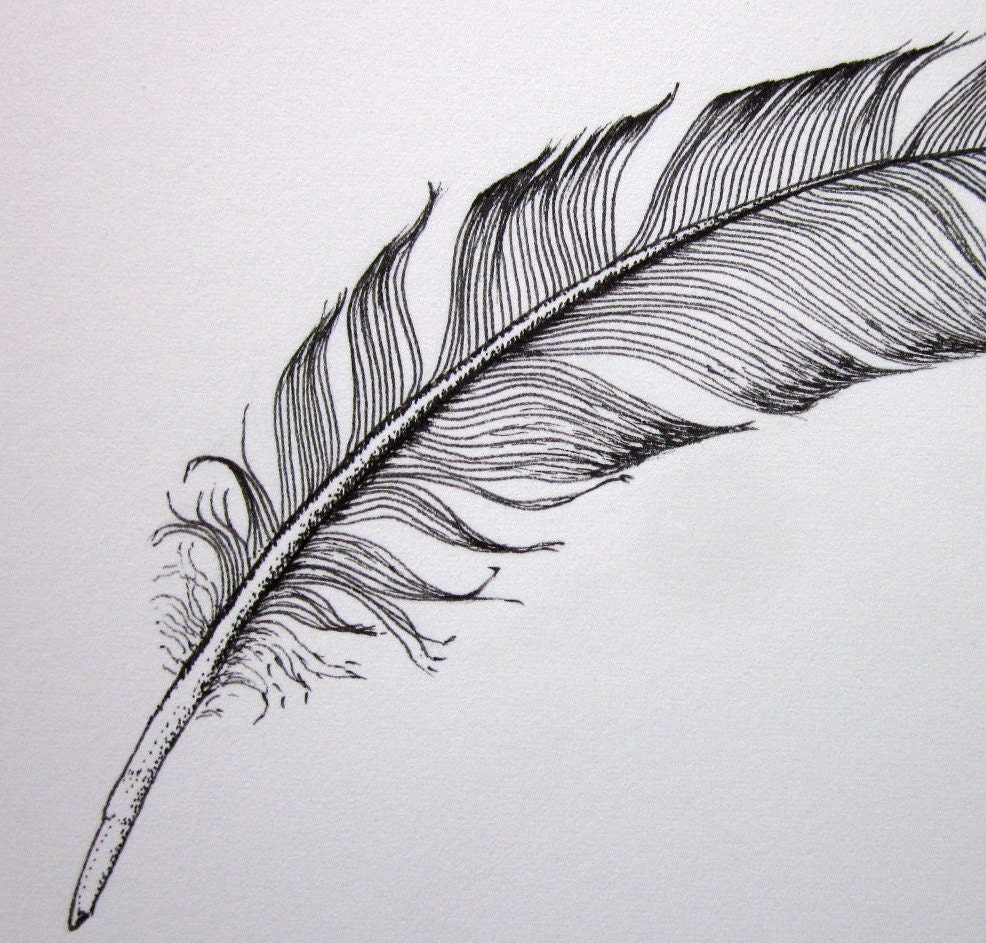 Curved small black feather original ink drawing by