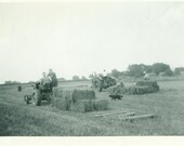 Farm Work Men in Field Bailing Hay Tractors Dog Working Harvest 1953 Vintage Photo Black and White Photograph