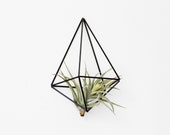 Himmeli Wall Prism no. 1 | Modern Geometric Ornament | Air Plant Hanger | Minimalist Home Decor