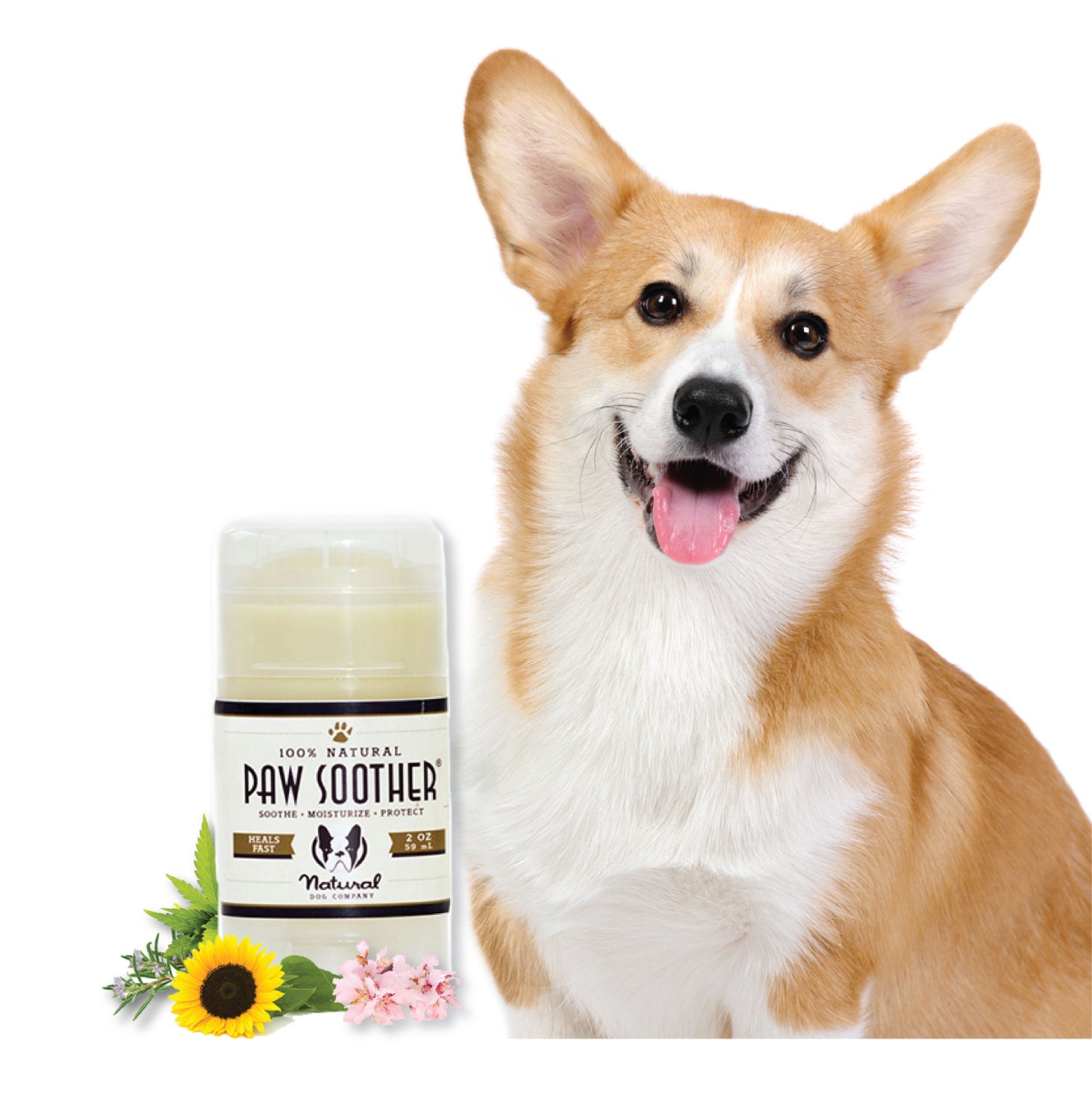 Natural Dog Company PAW SOOTHER dogs by