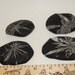 Large Chysanthemum Stone