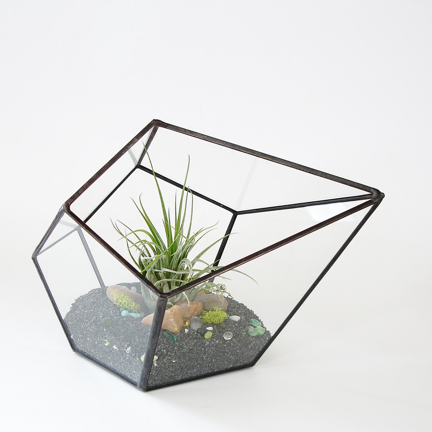 Glass Terrarium with Air Plant Geometric Terrarium Geometric