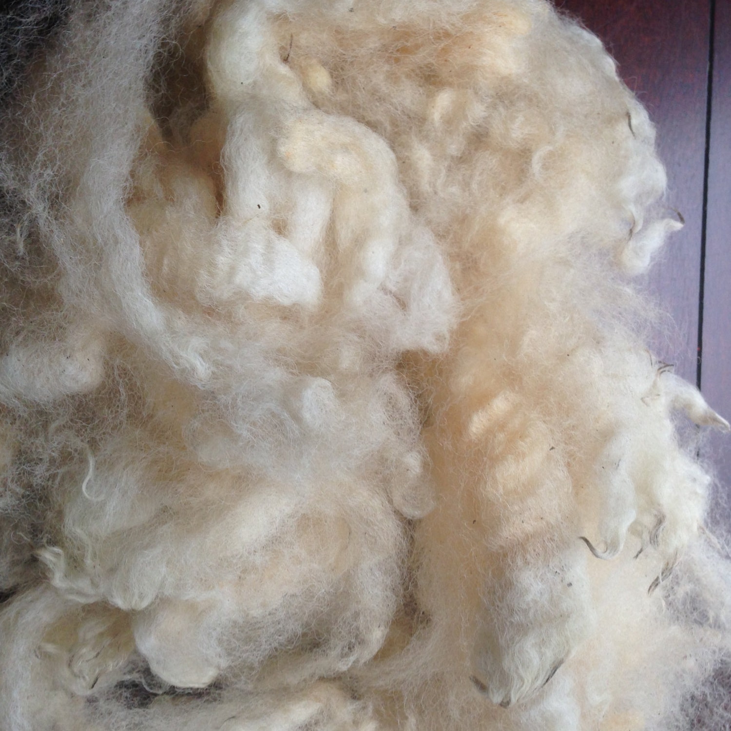 DorsetxBorder Cross Raw Wool Fleece 4oz Spinning Fiber Felting