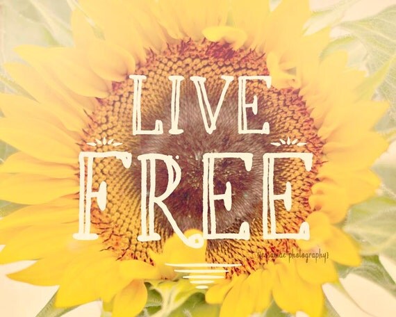 Afficher limage dorigine