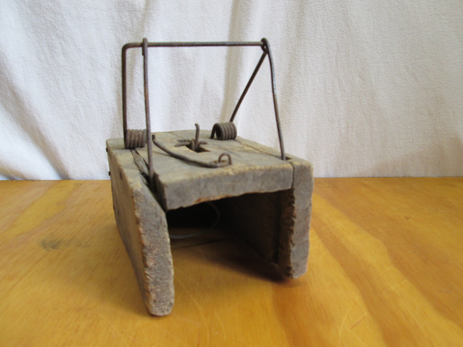 California Pocket Gopher Trap animal traps USA