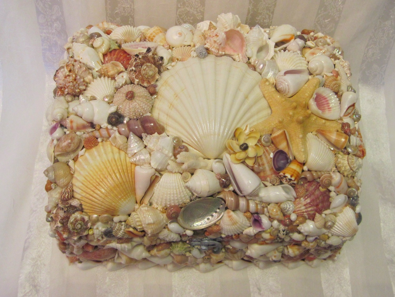 Seven Seas Large Seashell Encrusted Treasure Chest Seashell