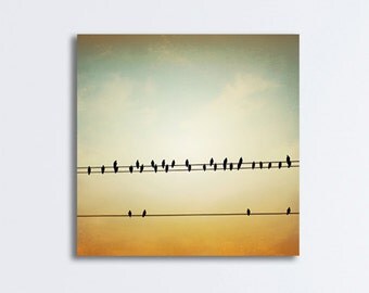 Bird on Wire Canvas Photography - wall art gold beige brown neutral print olive green nature modern telephone wires photograph, "In Tune"