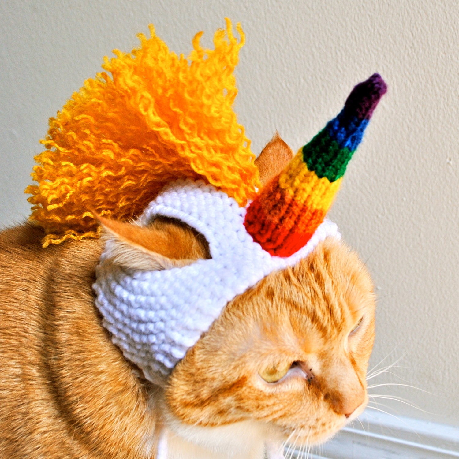 cat unicorn horn