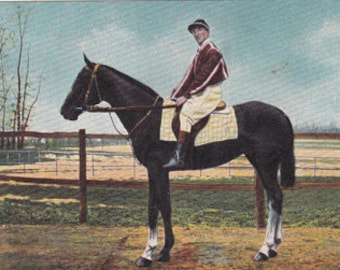 antique postcard of a horse with a jockey, from the 1910's