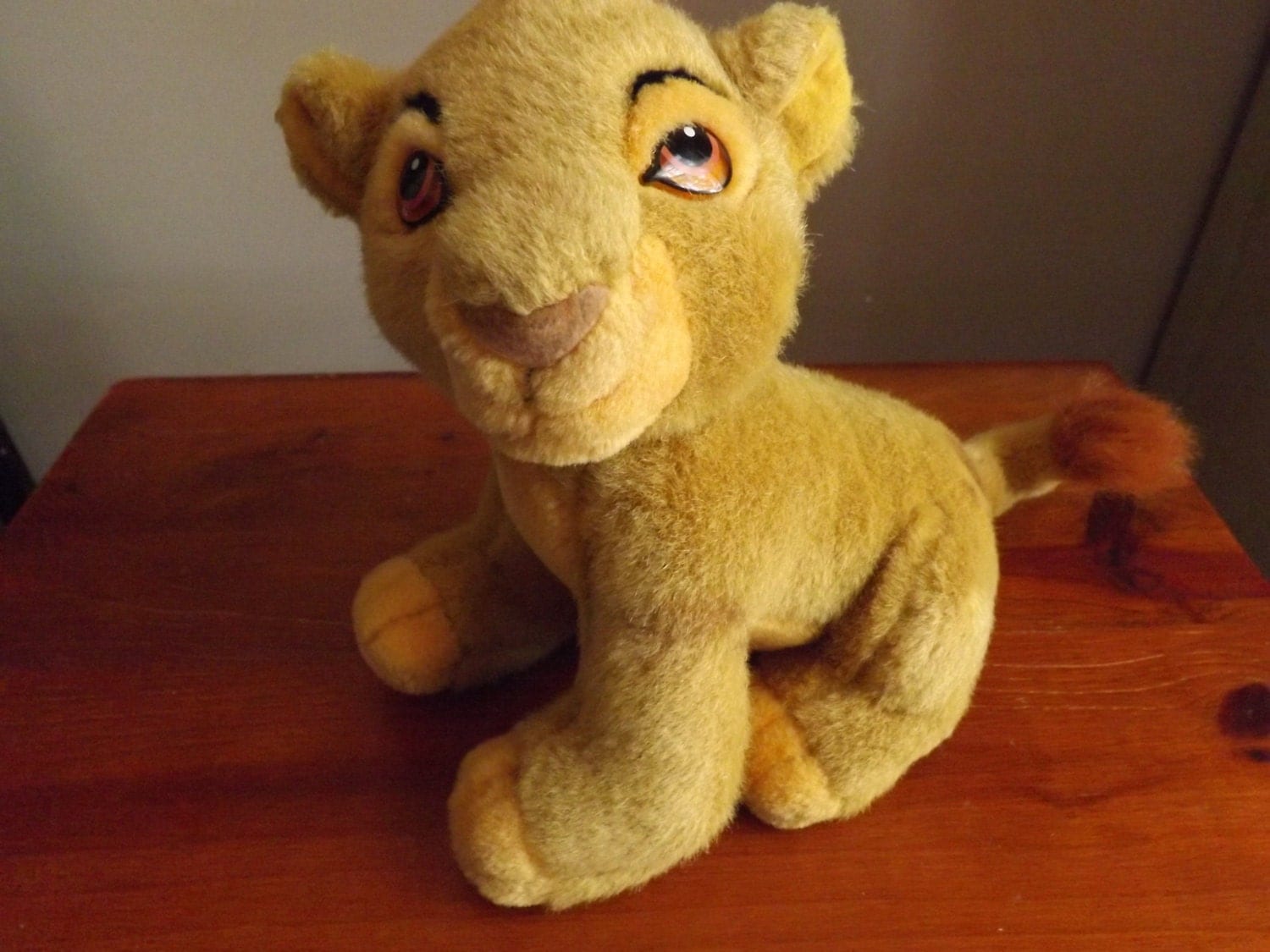 small simba teddy