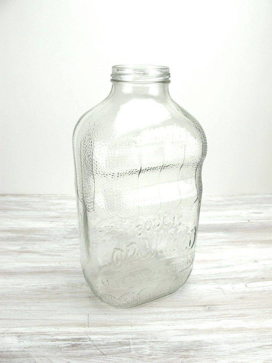 Vintage Large Glass Bottle Clear Glass Jug Jar Beverage