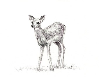 fawn print digital print of an original drawing available 5x7 or