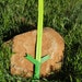 adventure time grass sword toy