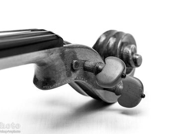 Violin or Viola Scroll and Pegs, String Instrument, Black & White Fine Art, Musical Wall Decor, Detail, Close Up, Photographic Print