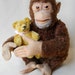 jocko chimpanzee
